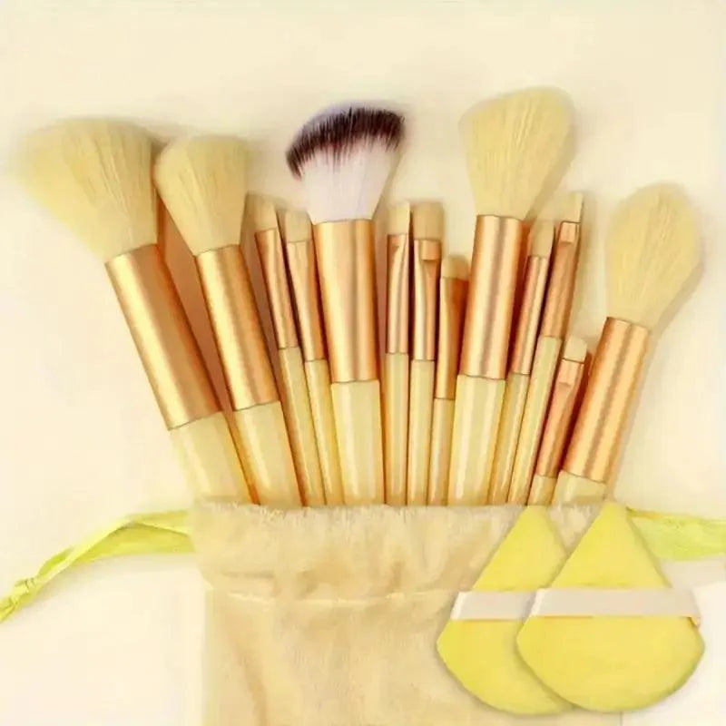 Professional 13–16Pcs Makeup Brush Set with Bag